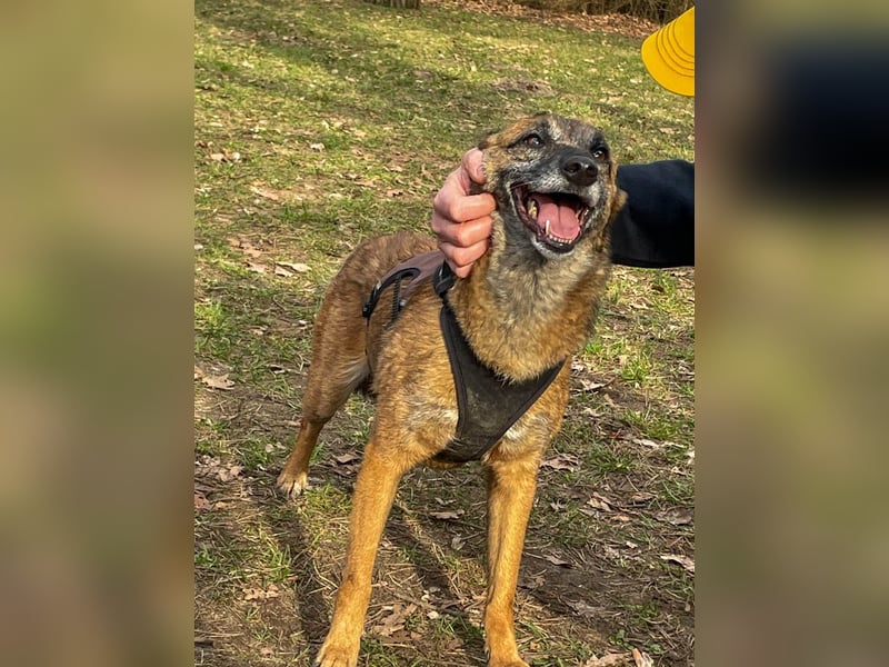 bezaubernde NISHA wartet bereits in Erlangen auf DICH