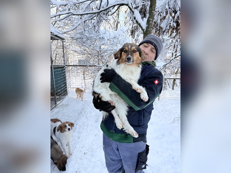 Herzensmensch gesucht - liebe JUILIANA hofft auf ihr Glück