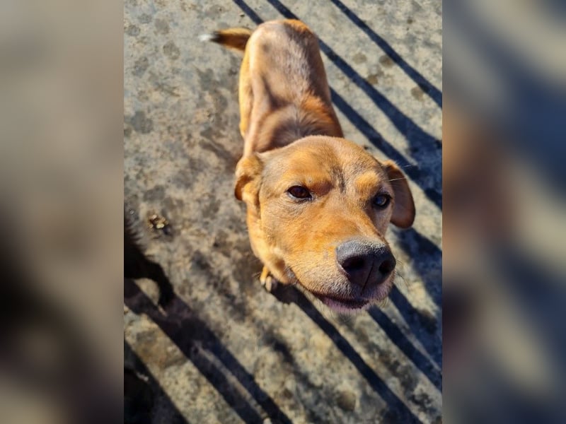 SVEN, liebenswerter Rentner sucht seinen Herzensmensch SVEN, liebenswerter Rentner sucht seinen Herzensmensch