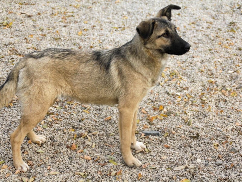 Lebensfrohe JOSEPHINE bezaubert durch ihre fröhliche und liebe Art