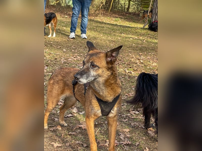 lernwillige NISHA wartet bereits in 91052 Erlangen auf ihre Herzensmenschen !