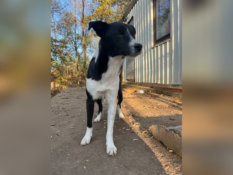 Charmante CHANTAL ist noch etwas zurückhaltend