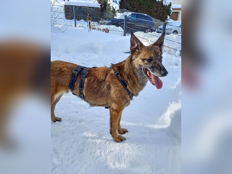 NISHA bezaubernd, liebesbedürftig, wundervoll such nach DIR