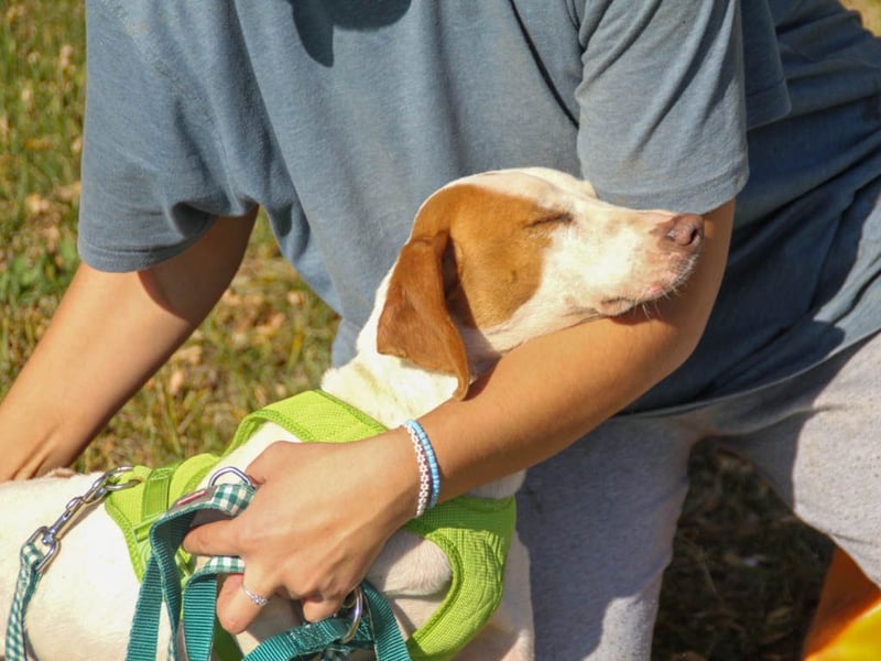 Hoppla - liebenswerter FICO möchte on tour gehen