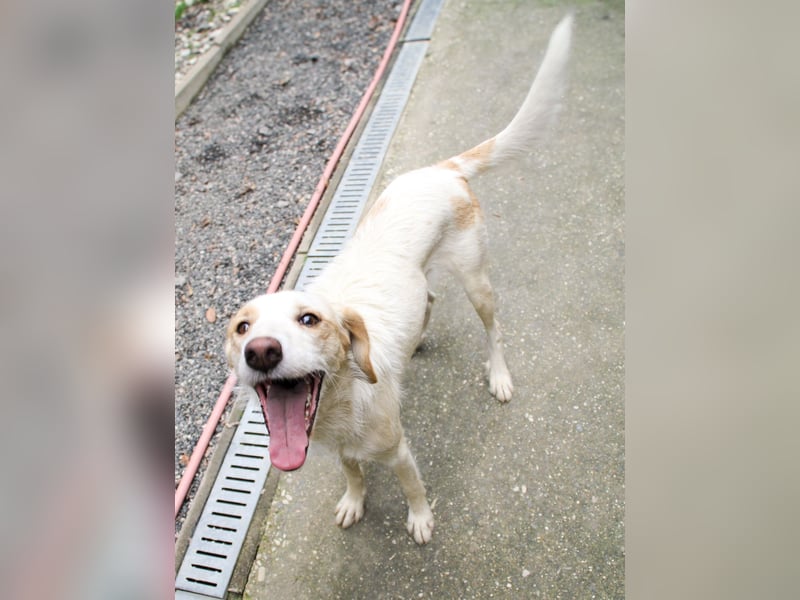 Lebensfrohe LIMA bezaubert durch ihre fröhliche und liebe Art