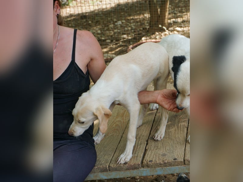 TIAGO - will Dich verzaubern TIAGO - will Dich verzaubern