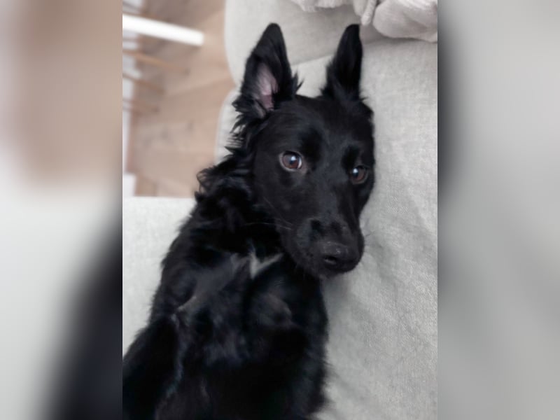 Lebensfrohe DAYA wartet in Erlangen auf DICH