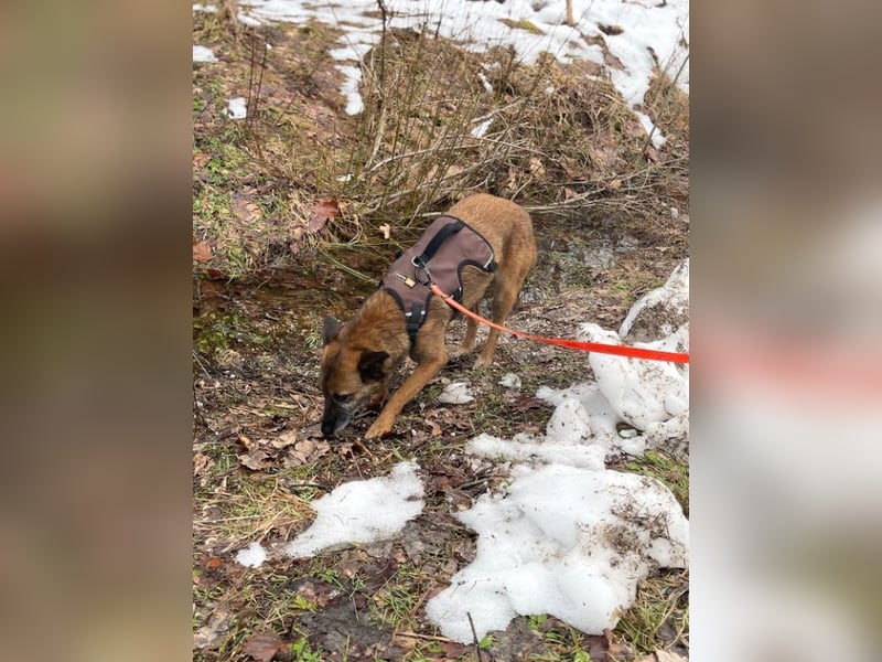 NISHA bezaubernd, liebesbedürftig, wundervoll such nach DIR