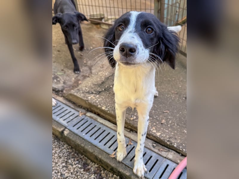 Zuckersüße IRENA bezaubert durch ihre fröhliche Art