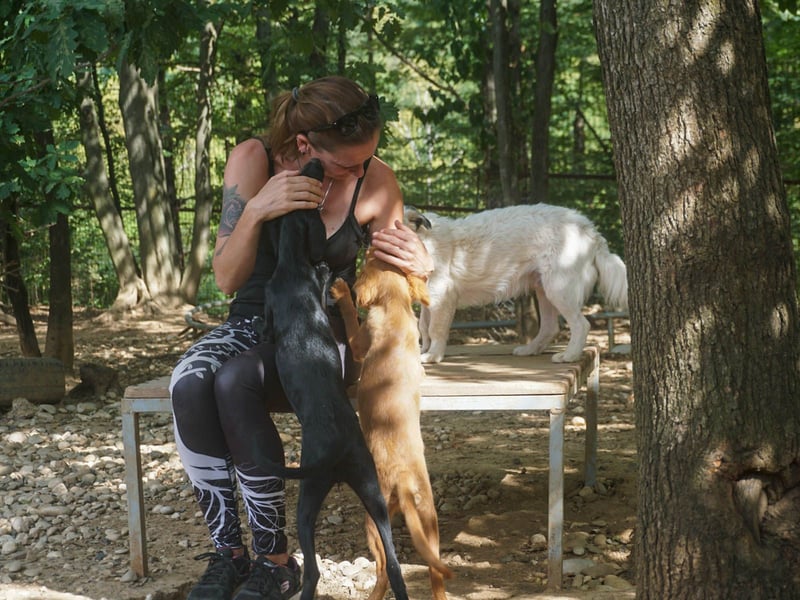 ISIDORA sucht Kuschelpartner fürs Leben