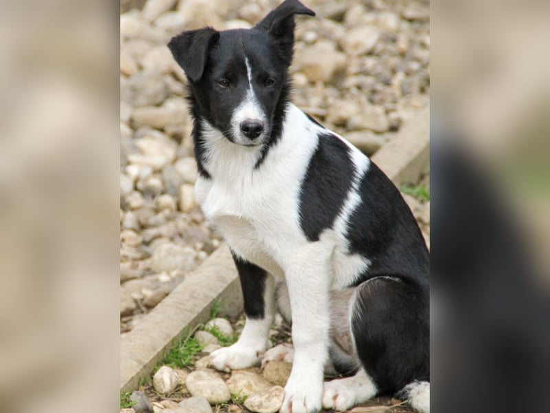 Charmante CHANTAL ist noch etwas zurückhaltend