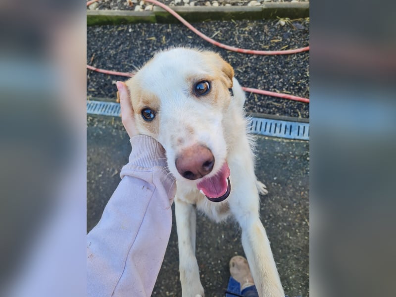 Lebensfrohe LIMA bezaubert durch ihre fröhliche und liebe Art