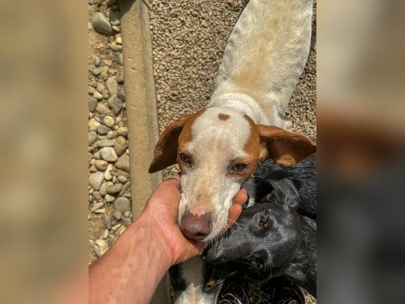 Traumbub FICO verzaubert mit seiner lieben Art