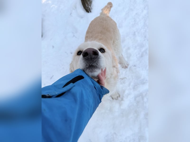 Charmanter MAXIM - wer löst sein Ticket ins Glück?