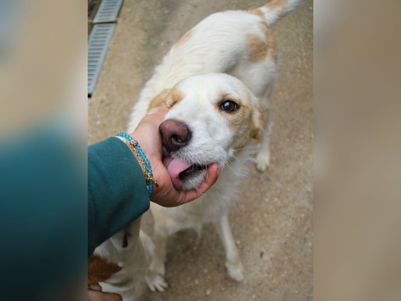 Lebensfrohe LIMA bezaubert durch ihre fröhliche und liebe Art