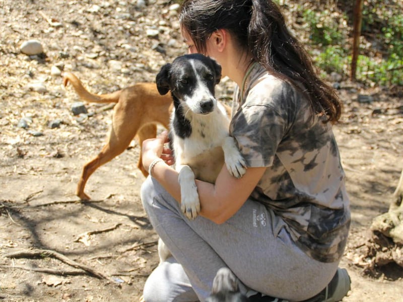 Halli-Hallo, ich bin der zuckersüße ILIAS und suche ein liebevolles Zuhause