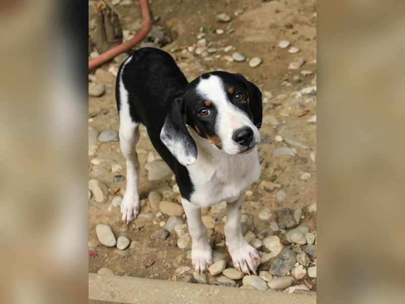 Lebensfroher AURELIO bezaubert durch seine fröhliche und liebe Art