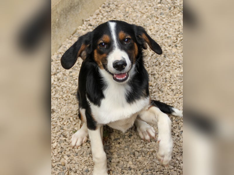 Zuckersüße LOARA - wer bringt ihre Augen zum strahlen? Zuckersüße LOARA - wer bringt ihre Augen zum strahlen?