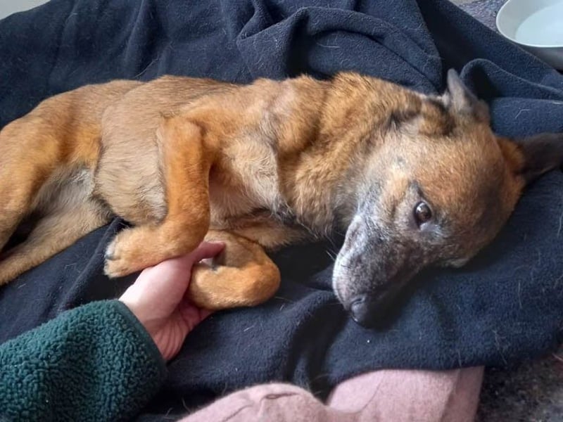 NISHA bezaubernd, liebesbedürftig, wundervoll such nach DIR