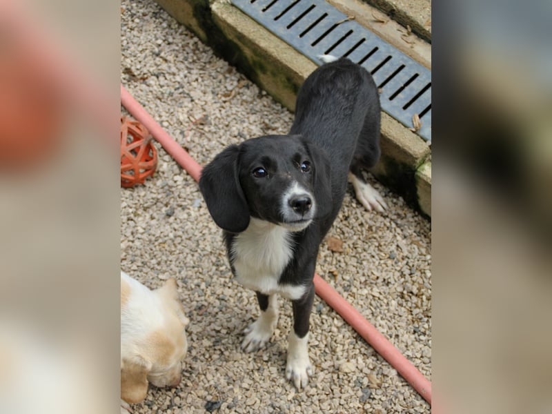 FLAVIA - wer bringt ihre Augen zum strahlen?