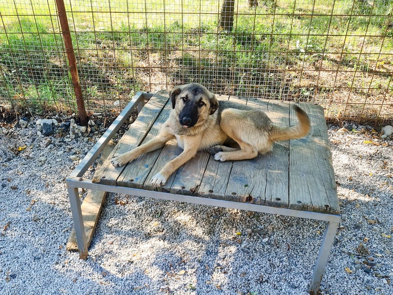 Zuckersüße JOSEPHINE bezaubert durch ihre fröhliche Art