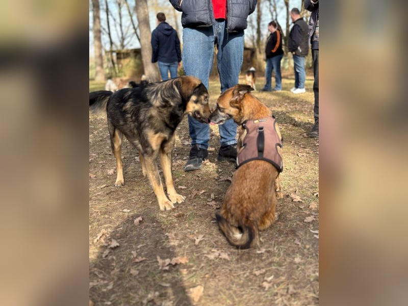 NISHA bezaubernd, liebesbedürftig, wundervoll such nach DIR
