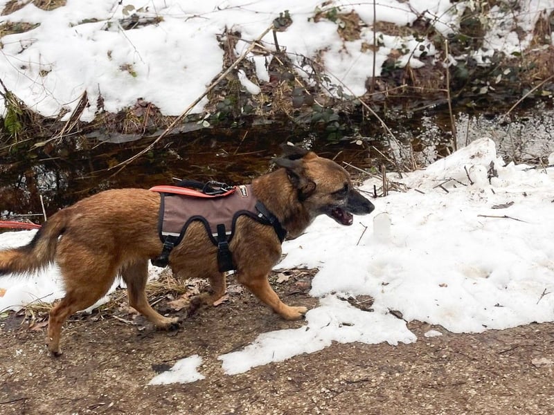NISHA bezaubernd, liebesbedürftig, wundervoll such nach DIR