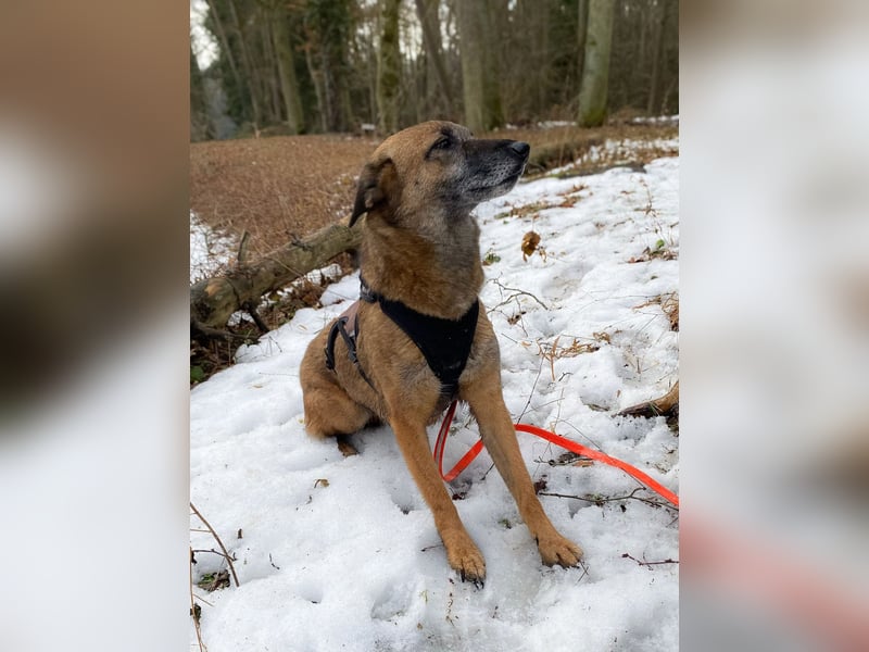 NISHA bezaubernd, liebesbedürftig, wundervoll such nach DIR