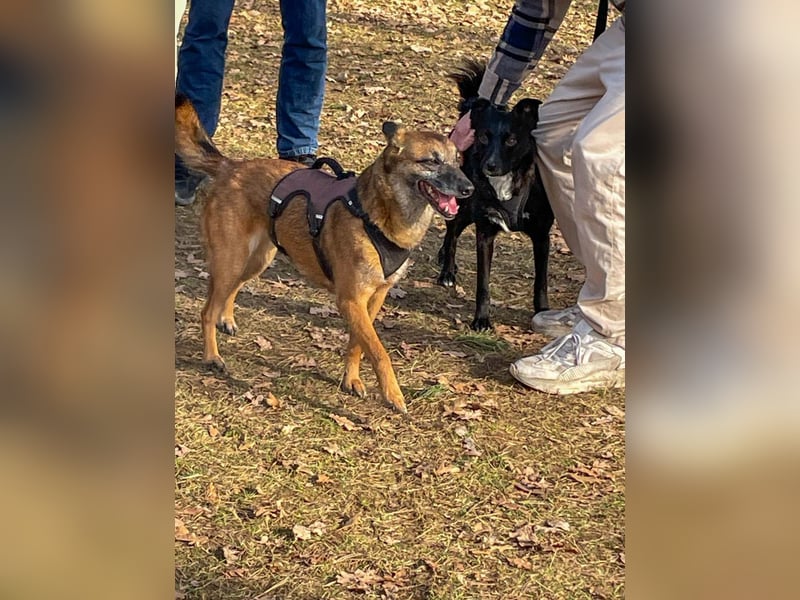 bezaubernde NISHA wartet bereits in Erlangen auf DICH