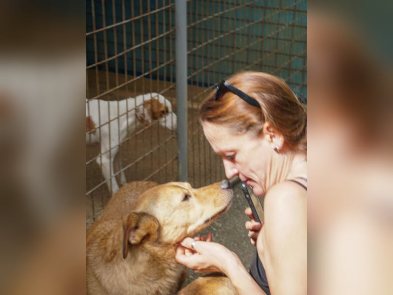 SVEN, liebenswerter Rentner sucht seinen Herzensmensch SVEN, liebenswerter Rentner sucht seinen Herzensmensch