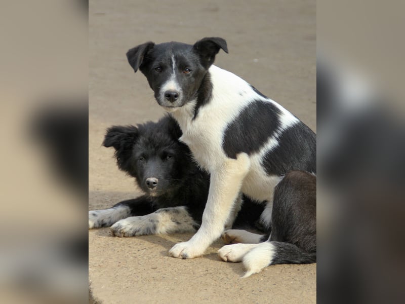 Charmante CHANTAL ist noch etwas zurückhaltend