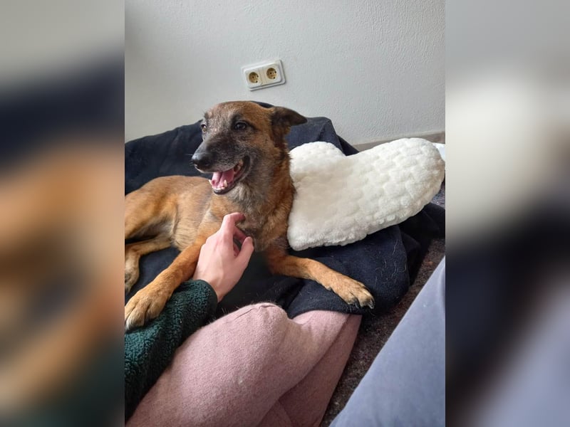 NISHA bezaubernd, liebesbedürftig, wundervoll such nach DIR