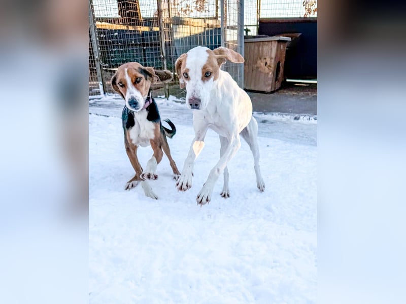 TAKITA lebensfroh, freundlich, für jeden Spaß zu haben