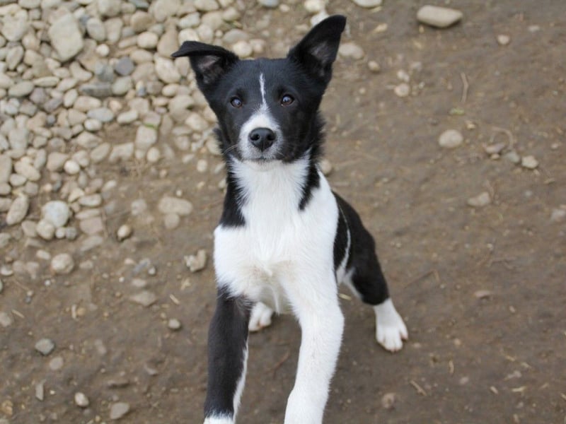 Charmante CHANTAL ist noch etwas zurückhaltend
