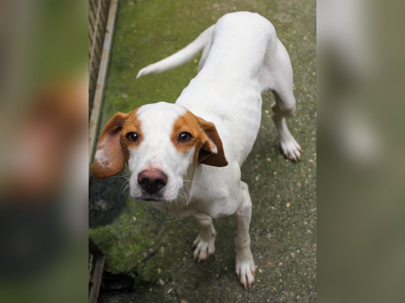 TAKITA lebensfroh, freundlich, für jeden Spaß zu haben