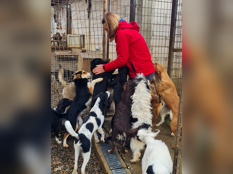 Fröhlicher Traumprinz ILIAS möchte dich verzaubern