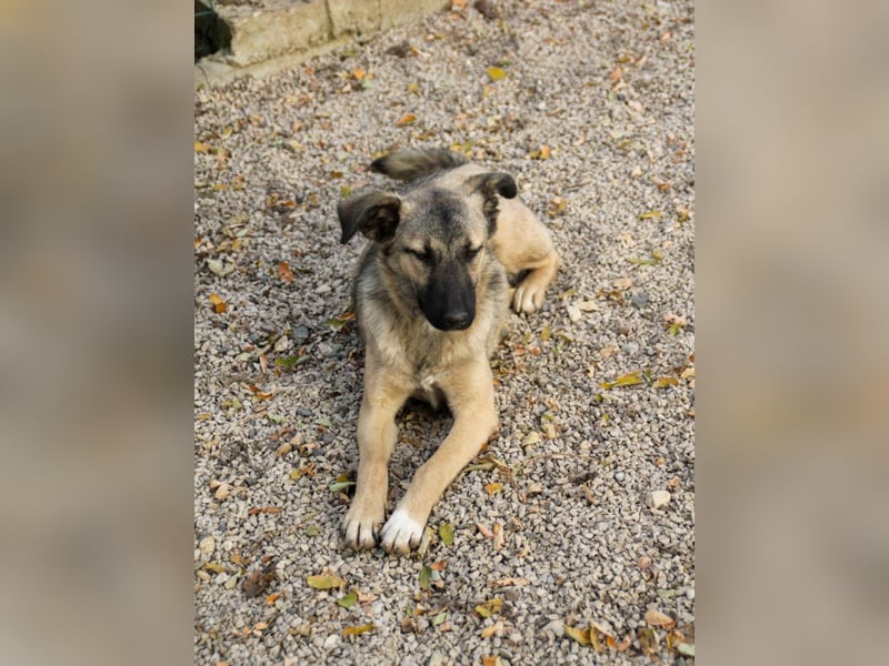 Lebensfrohe JOSEPHINE bezaubert durch ihre fröhliche und liebe Art