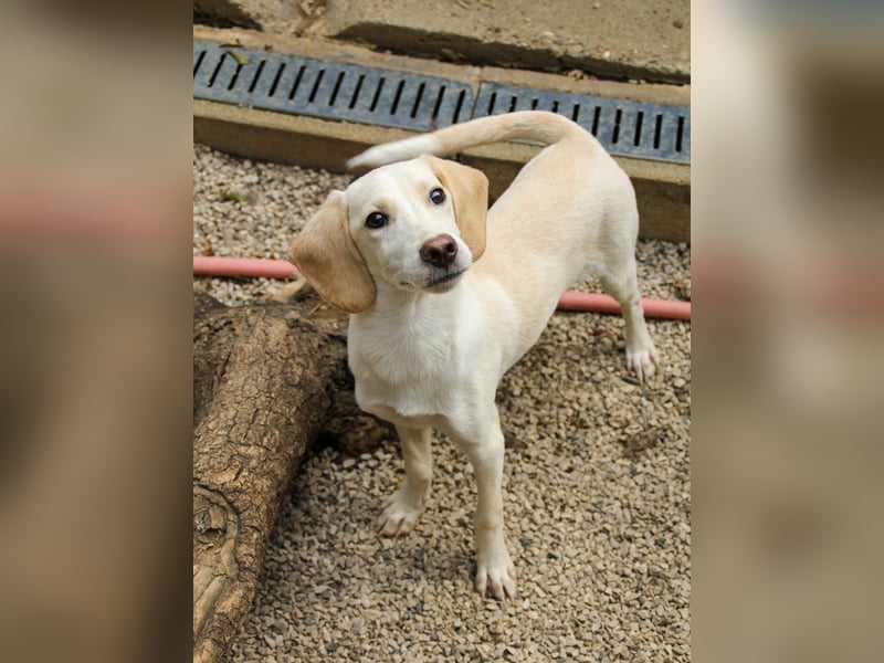 TIAGO - will Dich verzaubern TIAGO - will Dich verzaubern