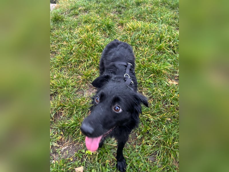 Lebensfrohe DAYA wartet in Erlangen auf DICH