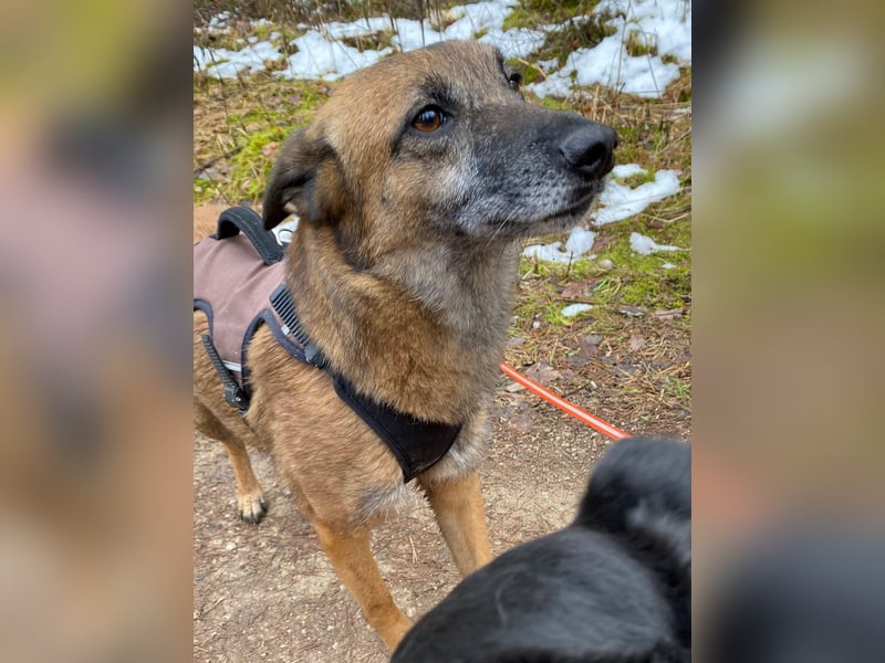 NISHA bezaubernd, liebesbedürftig, wundervoll such nach DIR