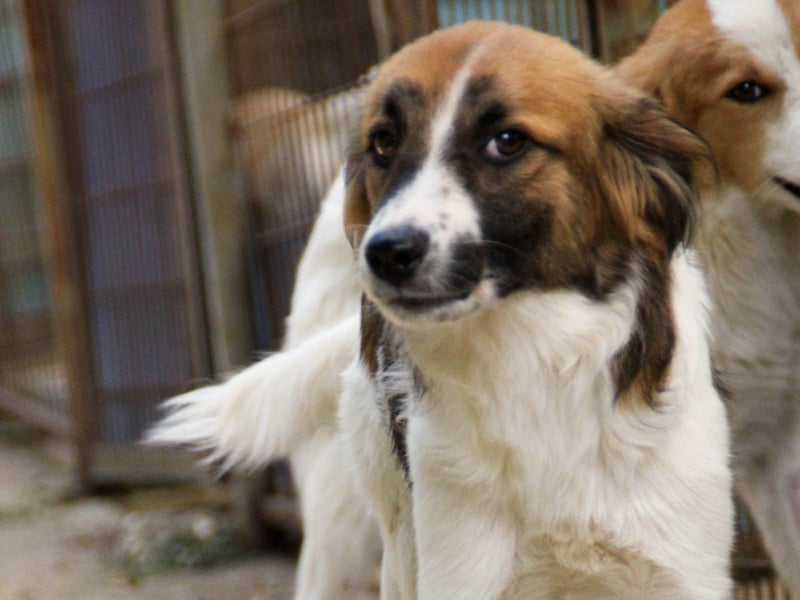 WILHELM, lebensfroher Weltentdecker WILHELM, lebensfroher Weltentdecker