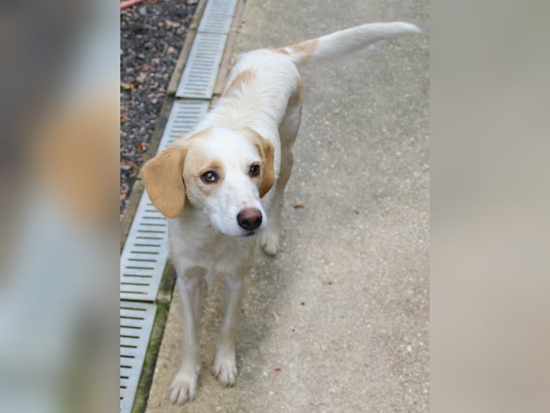 Lebensfrohe LIMA bezaubert durch ihre fröhliche und liebe Art