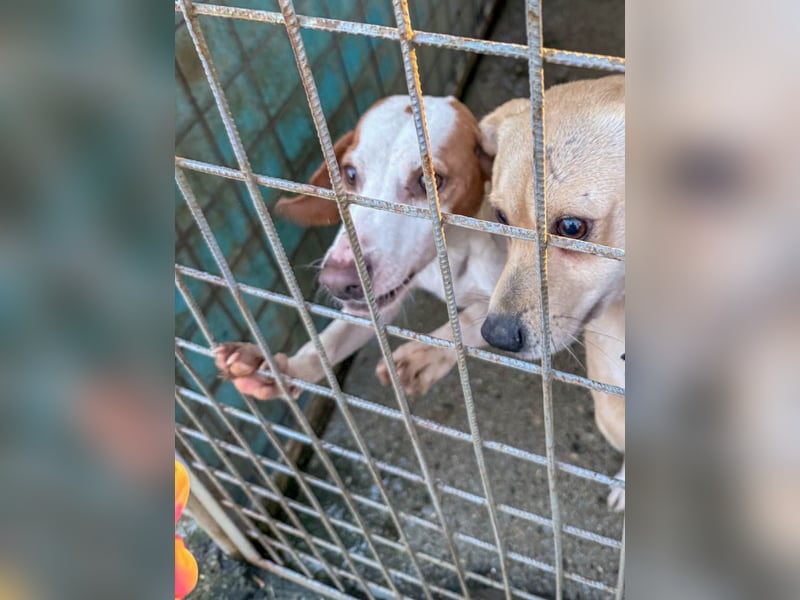 TAKITA lebensfroh, freundlich, für jeden Spaß zu haben