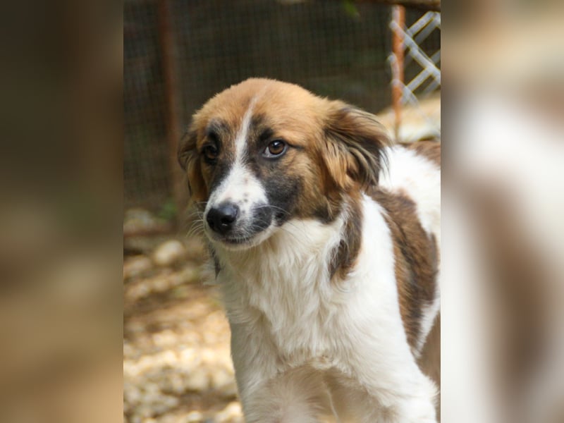 WILHELM, lebensfroher Weltentdecker WILHELM, lebensfroher Weltentdecker