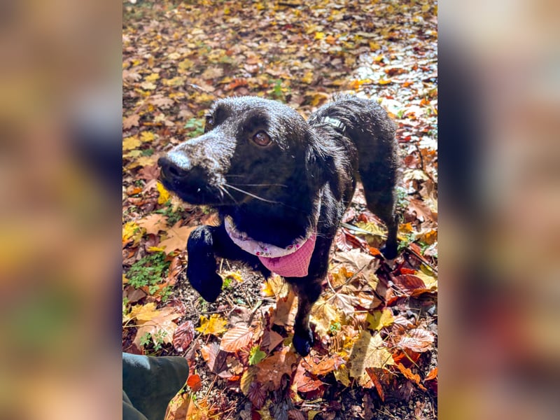 Lebensfrohe DAYA wartet in Erlangen auf DICH