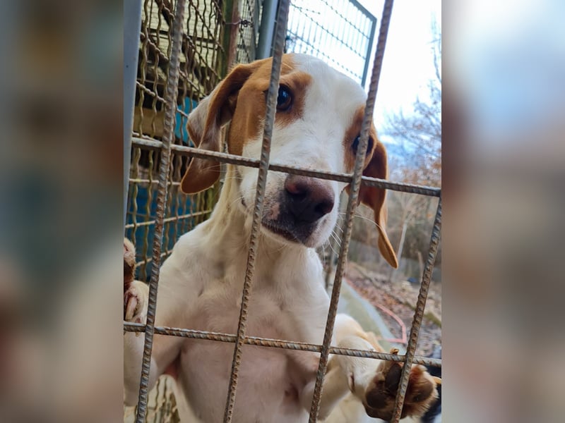 TAKITA lebensfroh, freundlich, für jeden Spaß zu haben