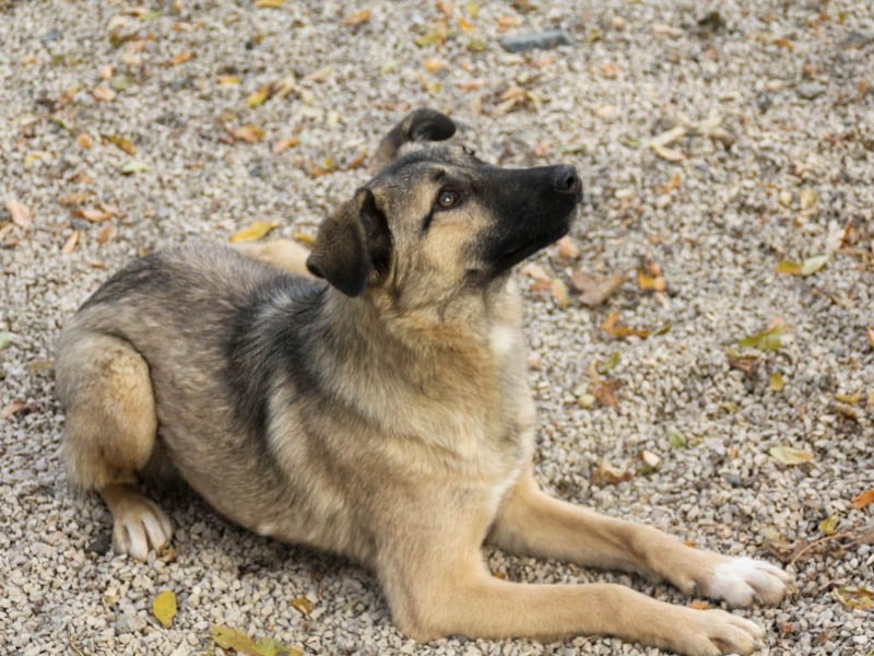 Lebensfrohe JOSEPHINE bezaubert durch ihre fröhliche und liebe Art