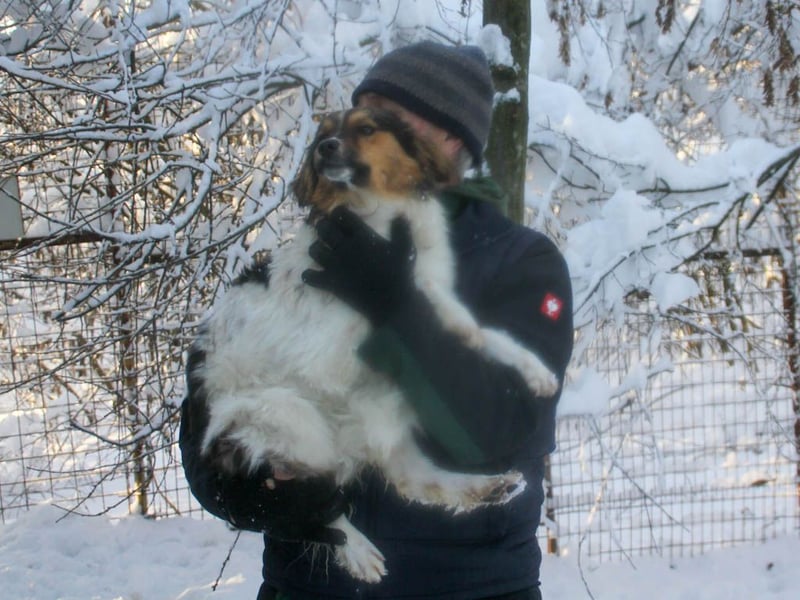 Herzensmensch gesucht - liebe JUILIANA hofft auf ihr Glück