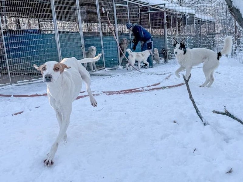 TAKITA lebensfroh, freundlich, für jeden Spaß zu haben
