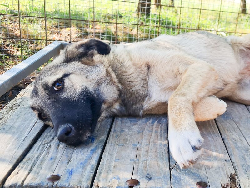 Zuckersüße JOSEPHINE bezaubert durch ihre fröhliche Art
